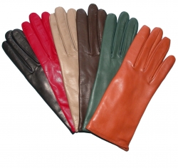 Ladies Leather Gloves